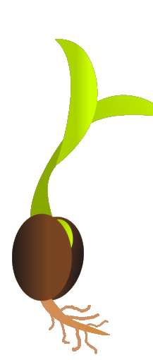 Seed Sprout Graphic